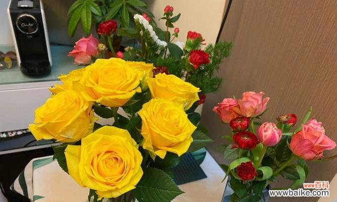 探寻黄玫瑰的隐藏心意 黄玫瑰的象征意义