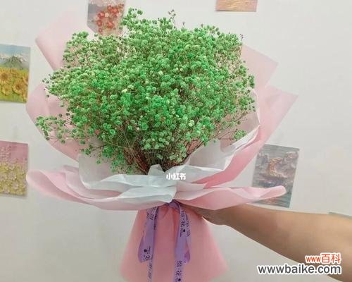 满天星花之美丽与深刻寓意 以送满天星的象征意义