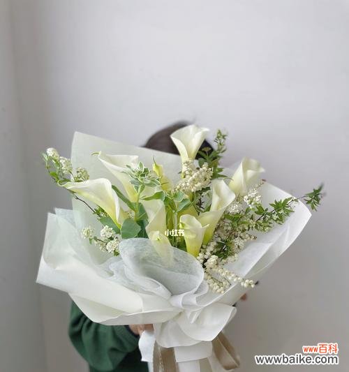 探寻马蹄莲花的象征意义与文化内涵 马蹄莲花