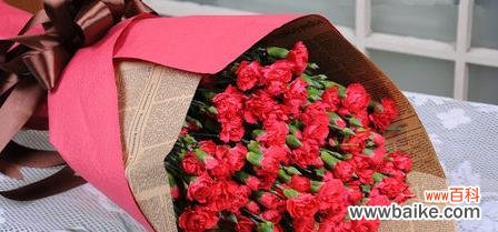 送给老师的康乃馨,传递美好祝福 康乃馨的花语与寓意