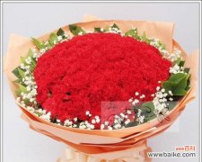 送给老师的康乃馨，传递美好祝福 康乃馨的花语与寓意