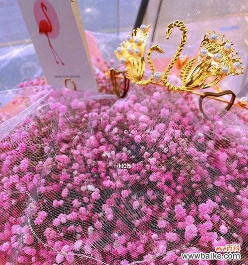 满天星的美丽与寓意 送满天星，传递爱与祝福