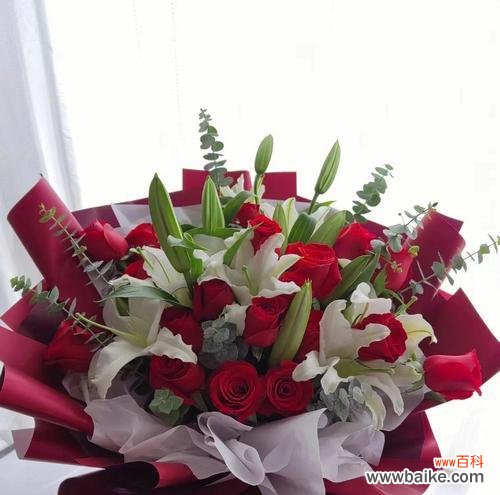 解读玫瑰花的深层含义 玫瑰花的寓意与象征