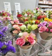 永远盛开的花语是什么？哪种花象征永恒？