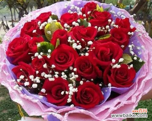 蔷薇和红玫瑰组合的花语代表什么？