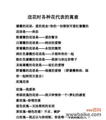 哪种花的花语象征着智慧?