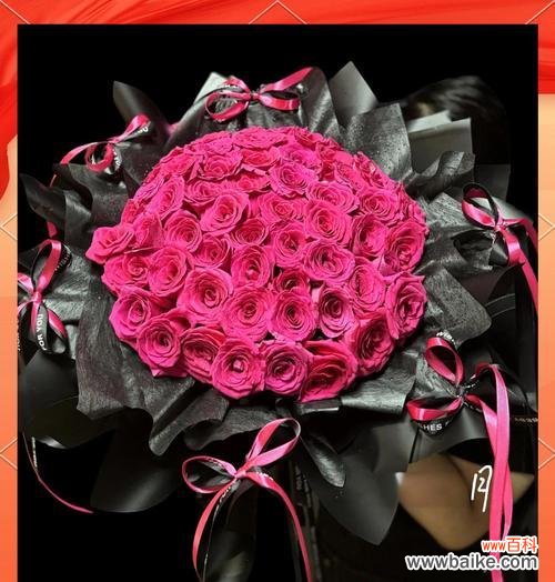 唯一的玫瑰花代表什么?它的花语有何深层含义?