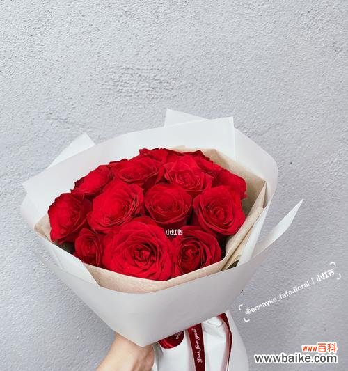 用花语传递真挚情感的鲜花 玫瑰花的含义与象征