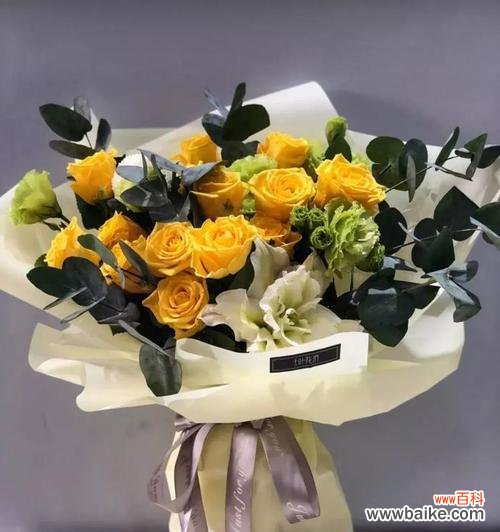 从花语到男友喜好,你必须了解的关键要素 送男友的最佳花卉选择