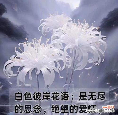 彼岸花的花语代表什么含义？