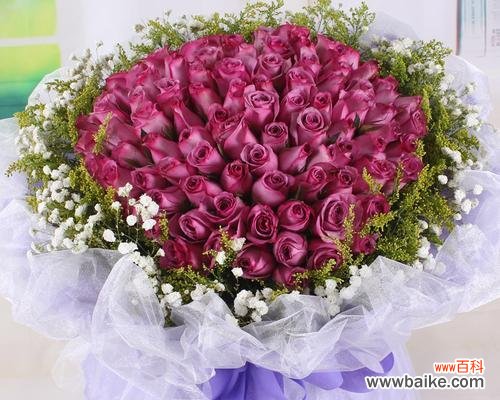 紫玫瑰花语深意解读 紫玫瑰的象征意义