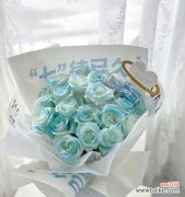 蓝色玫瑰 蓝色玫瑰的象征意义