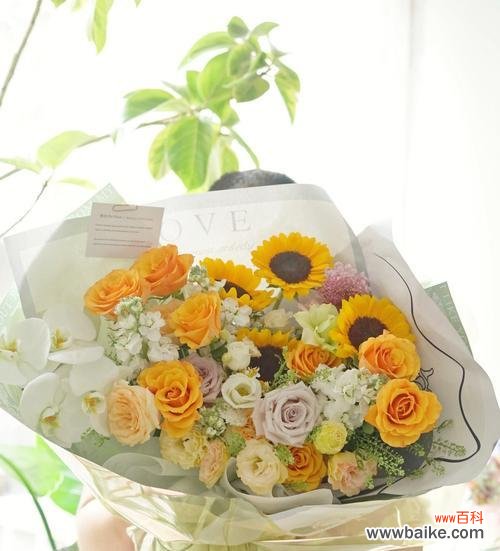 阳光、爱与希望的化身——揭秘日葵的象征意义 日葵的象征意义及其深层寓意