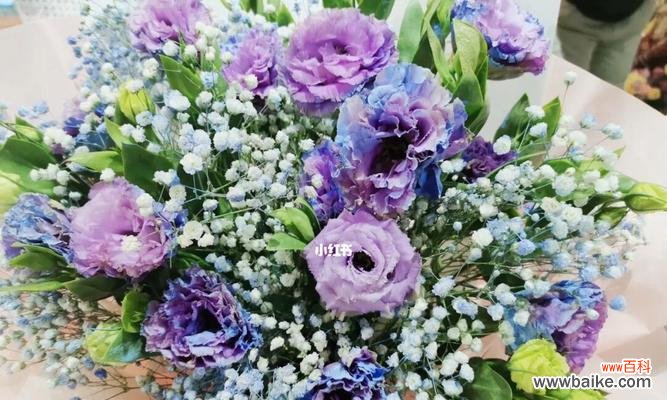 揭示碎冰蓝洋桔梗的神秘花语及其象征意义 碎冰蓝洋桔梗花语的美好寓意