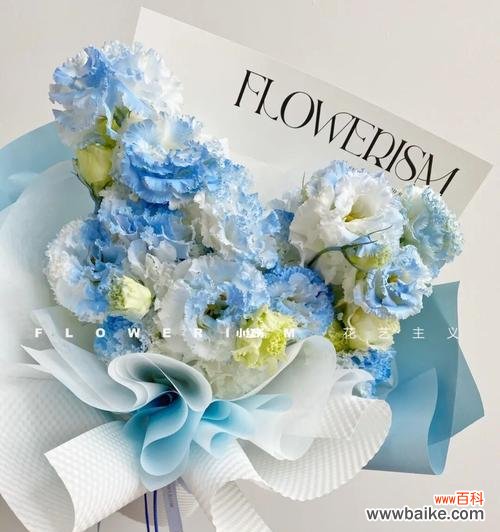 揭示碎冰蓝洋桔梗的神秘花语及其象征意义 碎冰蓝洋桔梗花语的美好寓意