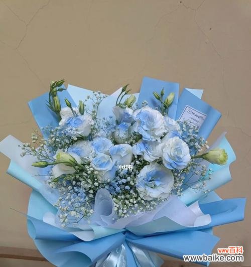 揭示碎冰蓝洋桔梗的神秘花语及其象征意义 碎冰蓝洋桔梗花语的美好寓意