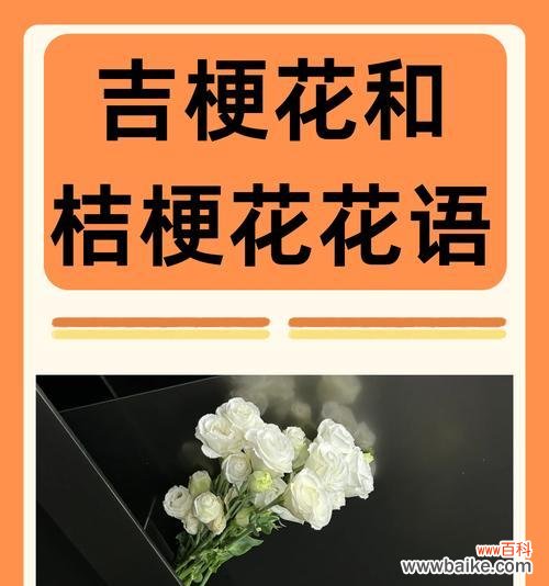 表达爱意的花语有哪些?