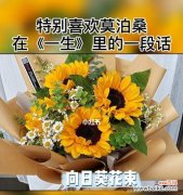 探寻以太阳花的象征意义与传承价值 以太阳花的花语含义