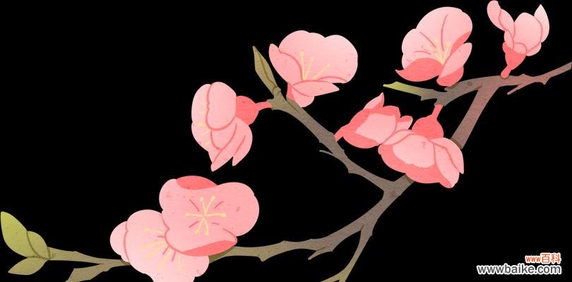 桃花 桃花的寓意和象征在古代代表的意义