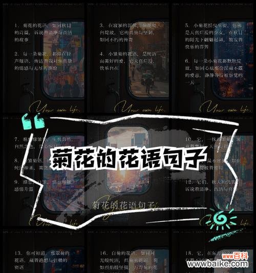 菊花的花语和寓意是什么?