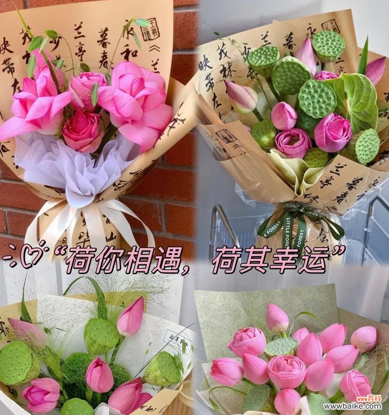 荷花的花语代表了什么?