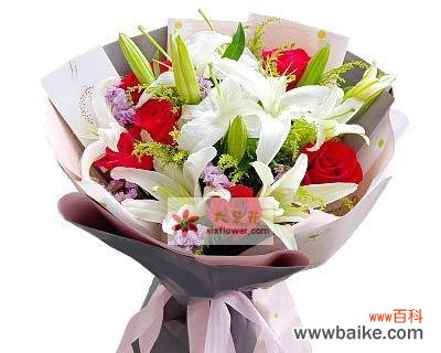 9朵玫瑰花代表什么含义?