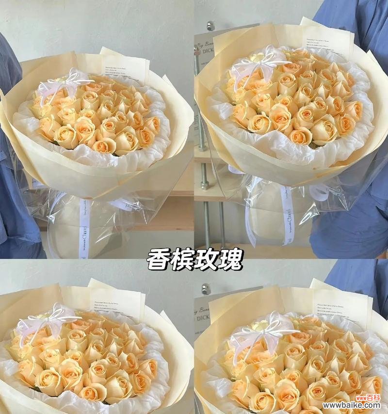 9朵玫瑰花代表什么含义?