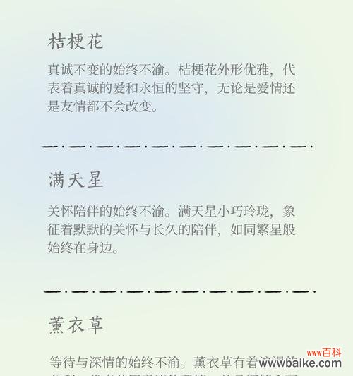 红玫瑰传递了怎样的情感？