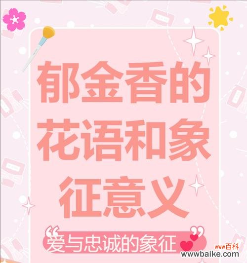 郁金香的花语和寓意是什么？