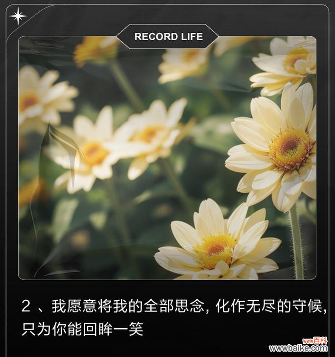 表达思念的花语有哪些?