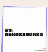 梨花象征着什么？