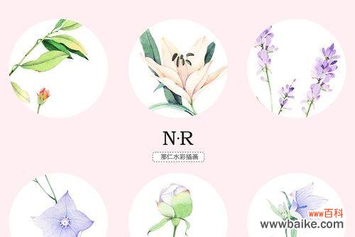 探索菟丝花的魅力与价值 菟丝花——一种美丽的花卉