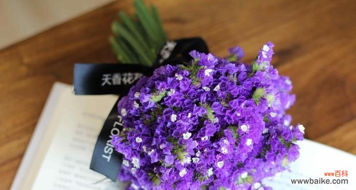 美丽的蓝色花朵背后的传奇与意义 勿忘我花语与传说的奇幻之旅