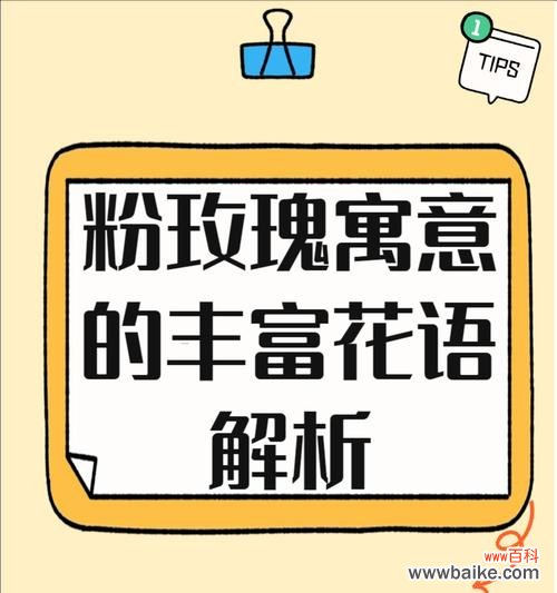 这种花语表达了怎样的情感？
