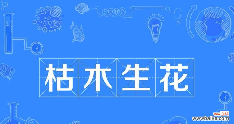 枯树开花的花语是什么？它象征着什么？