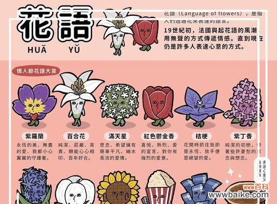 花语是谁赋予的意义是什么？花语背后的文化与历史起源是什么？