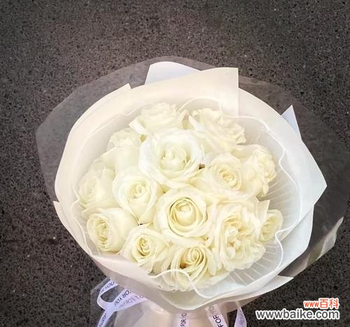 99白玫瑰的花语寓意有何深意?