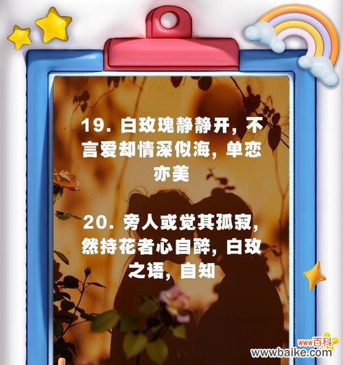 99白玫瑰的花语寓意有何深意?