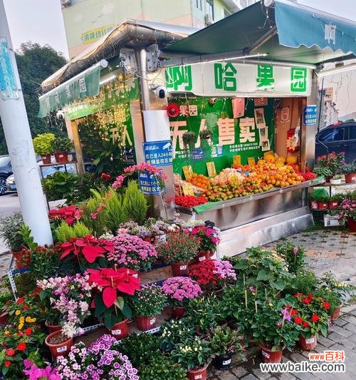 无人售货场景中的花语有何特别之处？