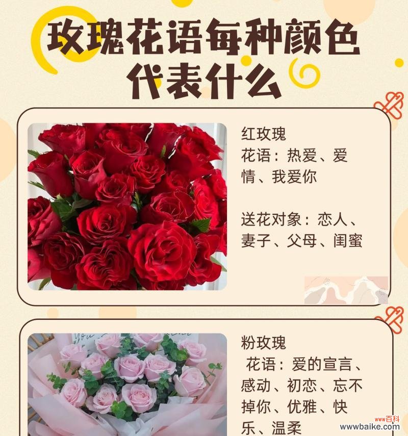 红玫瑰花最美丽的花语是什么?它代表了什么?
