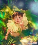 森林花语小王子代表什么含义？