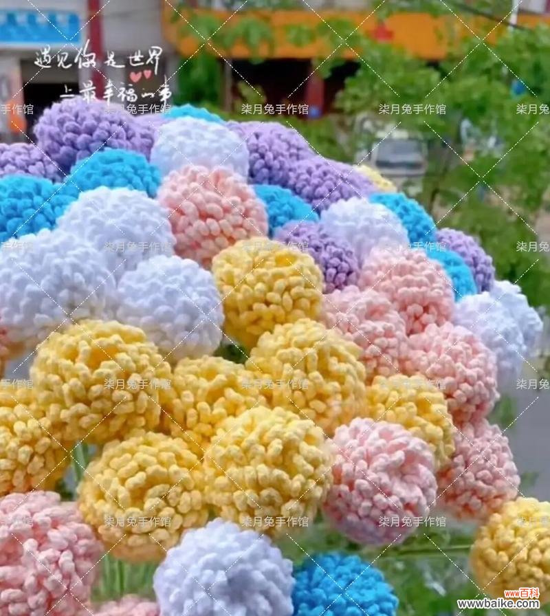 清菊的花语是什么意思?它象征着什么?