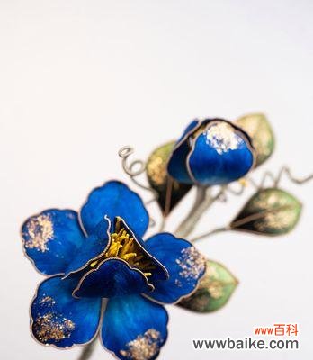 马面裙牡丹花的寓意是什么?它象征着什么?