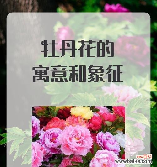 马面裙牡丹花的寓意是什么?它象征着什么?