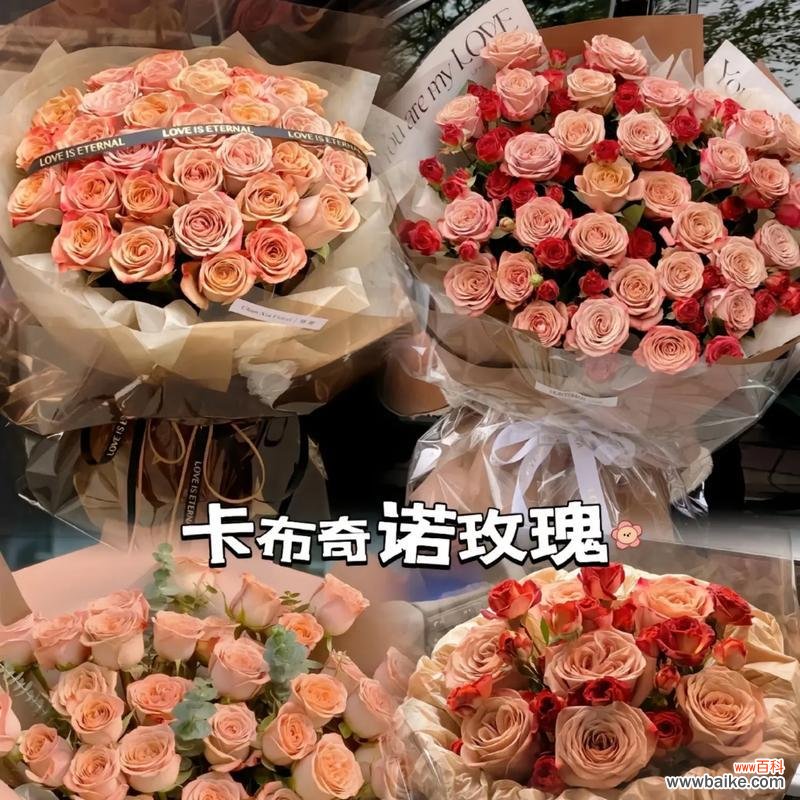 咖啡德玛的花语和寓意有何深意?