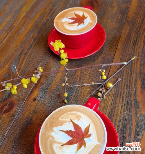 咖啡德玛的花语和寓意有何深意?