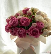 伯爵玫瑰花的花语是什么？它代表了哪些情感？