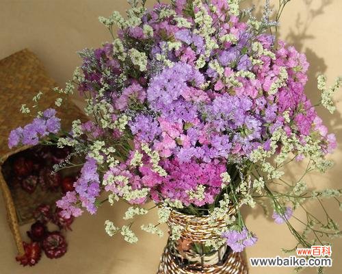 寄托深情，永不遗忘——勿忘我花的美丽传说 勿忘我花的寓意与象征