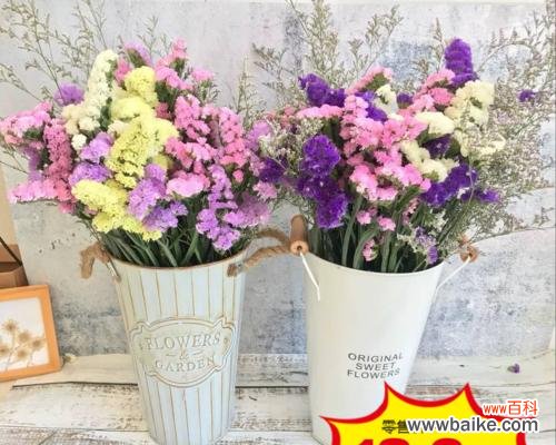 勿忘我花语的深意与传承 勿忘我的含义