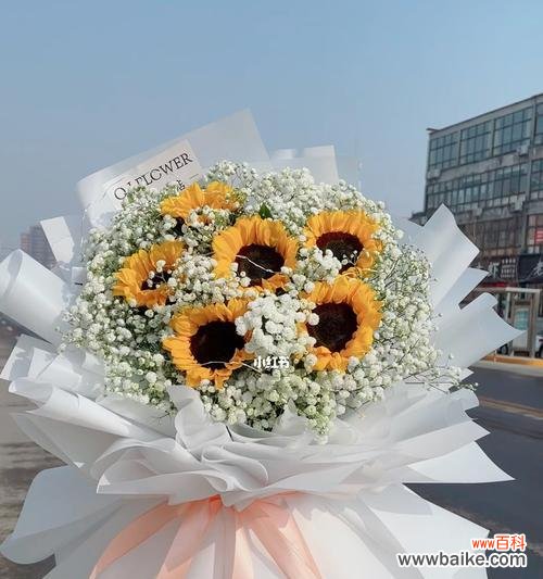 以花语传情 向日葵与满天星的搭配